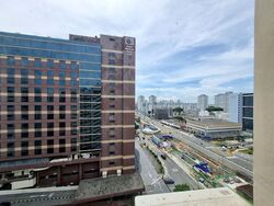 Parkway View (D15), Apartment #461126641